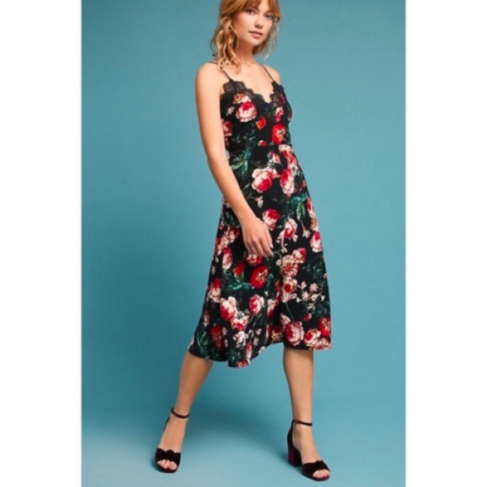 NWT Anthropologie FoxieDox Autumnal Slip Dress